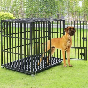 Heavy duty dog crate, front view with large dog, secure containment
