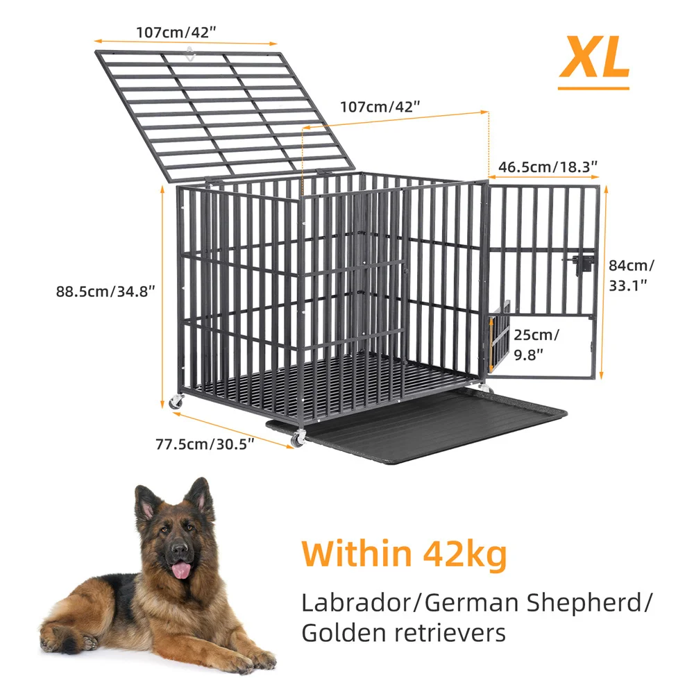 XL