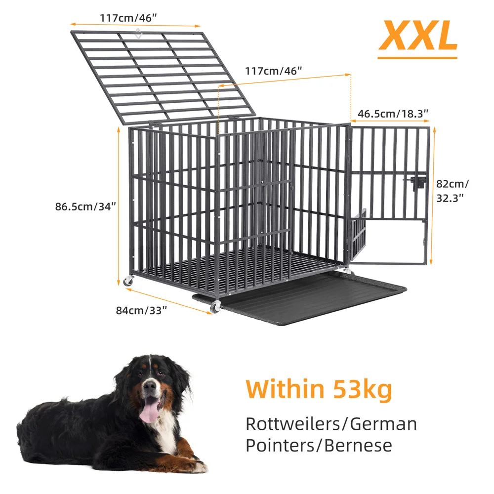 XXL