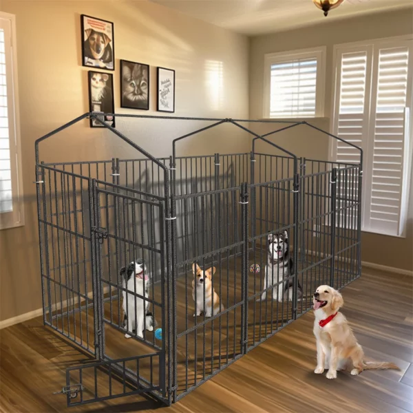 Dog playing inside a spacious heavy duty dog kennel