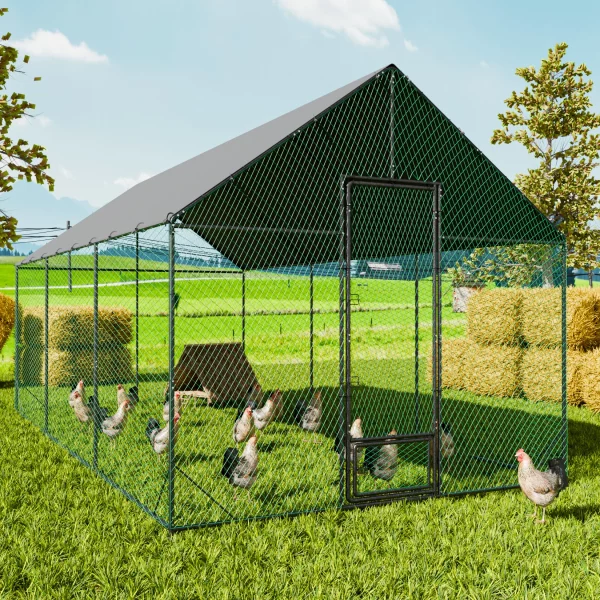 Spacious walk-in chicken coop interior showing ample room for poultry