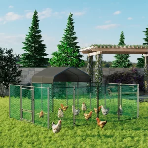 Poultry Fowl Supplies
