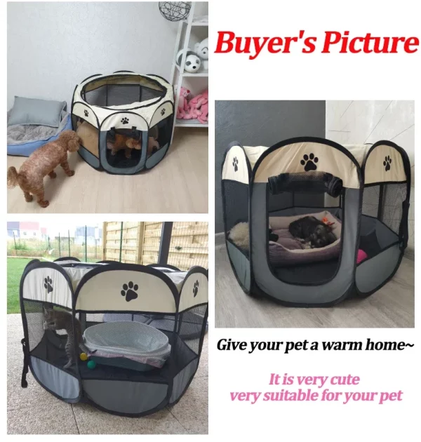 Large dog cage interior space view