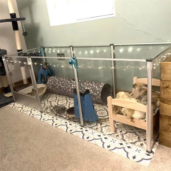 Small dog inside spacious acrylic playpen, transparent enclosure