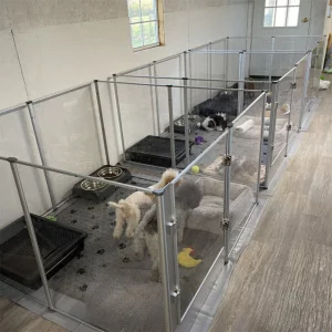 Large acrylic dog playpen, front view with puppy, indoor setting
