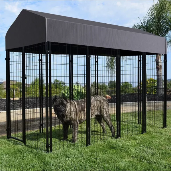 Detail view of the sturdy galvanized iron bars and construction of the pet run enclosure.