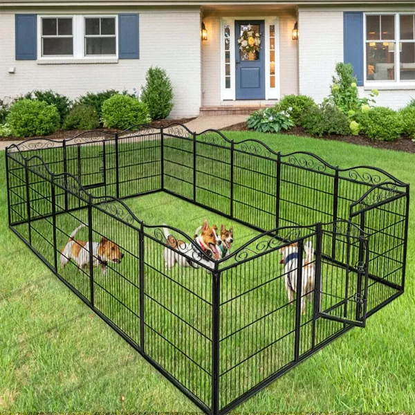 Chicken coop in a garden setting, demonstrating its outdoor suitability
