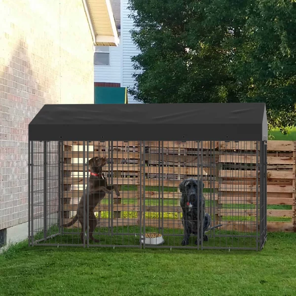 Close-up view of the welded wire mesh and secure latching gate of the dog kennel