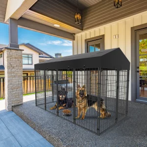 Dog Kennels Runs
