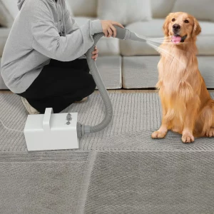 Pet Grooming Dryers