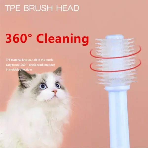 Cat's mouth being gently brushed with toothpaste