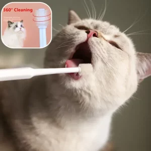 Cat Dental Care
