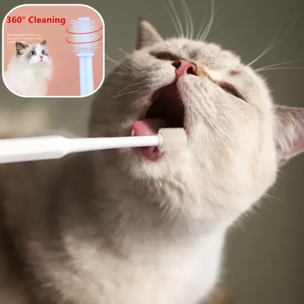 Cat toothpaste tube with blue and green accents