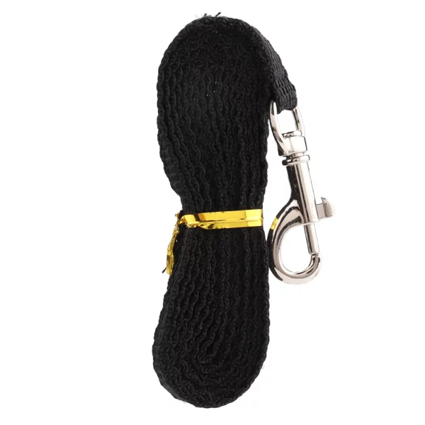 Detail of the secure buckle and leash attachment point.