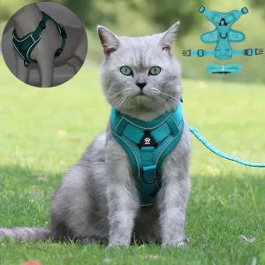 Cat wearing a red escape proof harness, front view