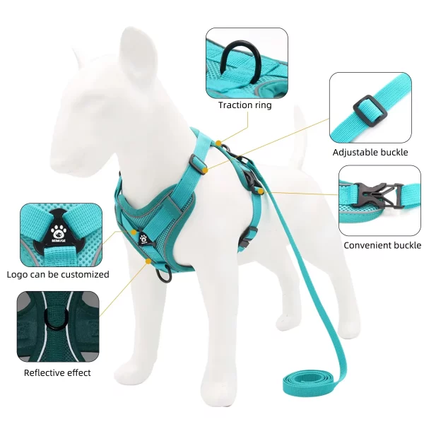 Cat wearing a blue breathable harness, side profile