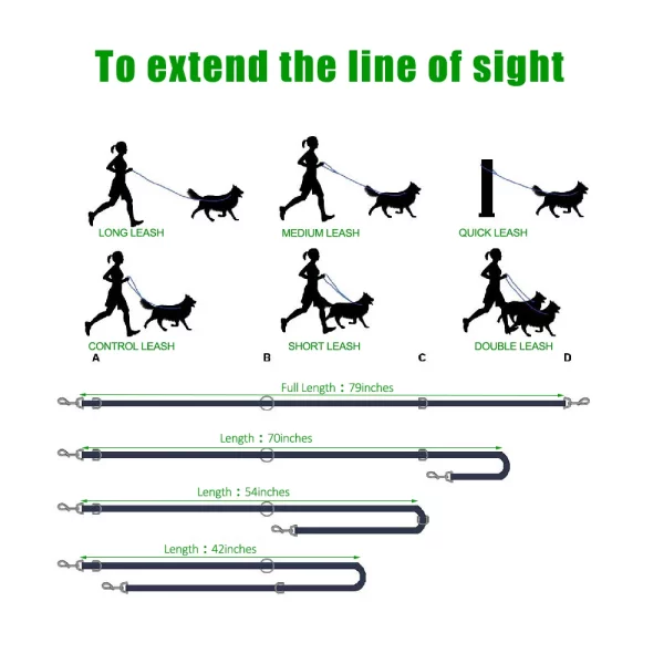 A dog being walked with the adjustable leash, highlighting its use in motion.