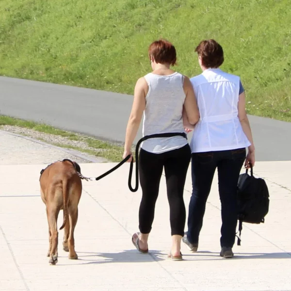 The adjustable dog leash configured for hands-free walking, clipped around a waist.