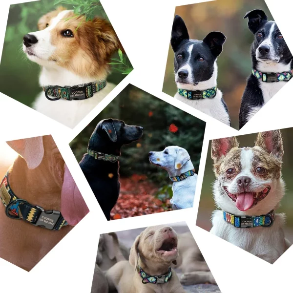 Collection of personalized dog collars in various colors and patterns