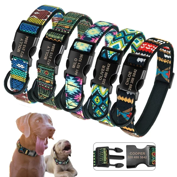 Custom dog collar with engraved name, showing adjustable strap