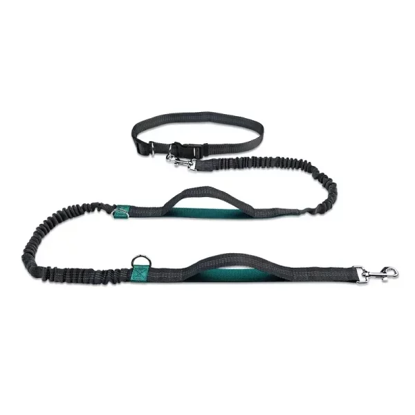 Hands free dog leash for running, detail of 360 swivel clip, secure attachment