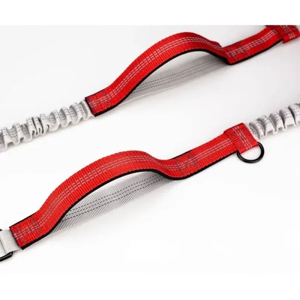 Hands free dog leash for running, reflective stitching detail, visibility at night