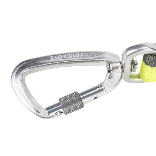 Bungee dog leash attached to a dog's harness during an outdoor walk.