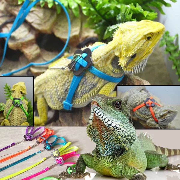 Reptile harness leash connection point and swivel clip