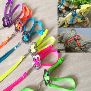 Reptile Harnesses Leashes