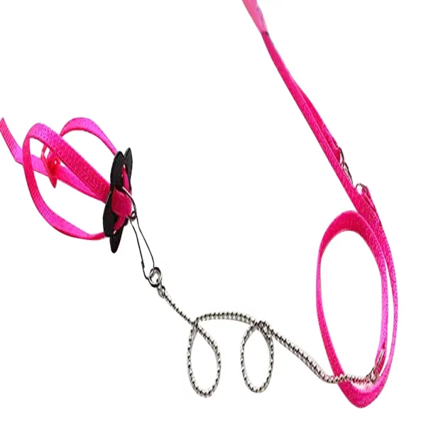 Close-up of the adjustable reptile harness strap detail