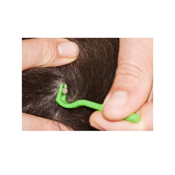 Set of flea and tick removal tools laid out, showing different sizes and colours.