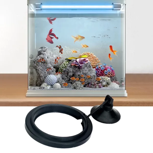 Square aquarium fish feeder ring attached to tank glass