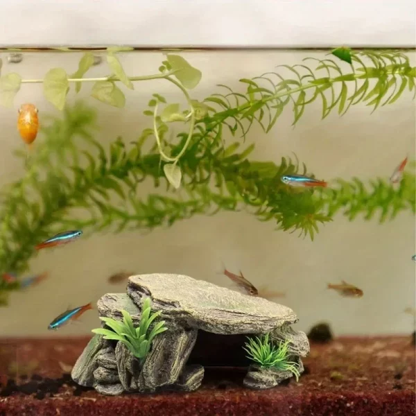 Top-down view of the artificial rock shelter for aquatic tanks