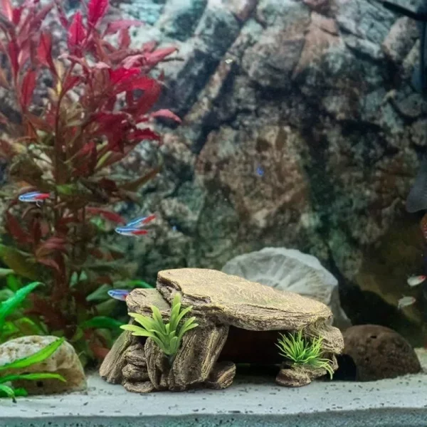 Reptile resting on the basking platform of the aquarium ornament