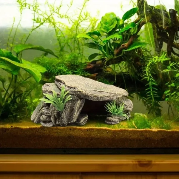 Side profile of the turtle tank decoration showing its shelter area