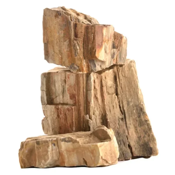 Aquarium landscaping featuring natural stone rockery creating hiding spots