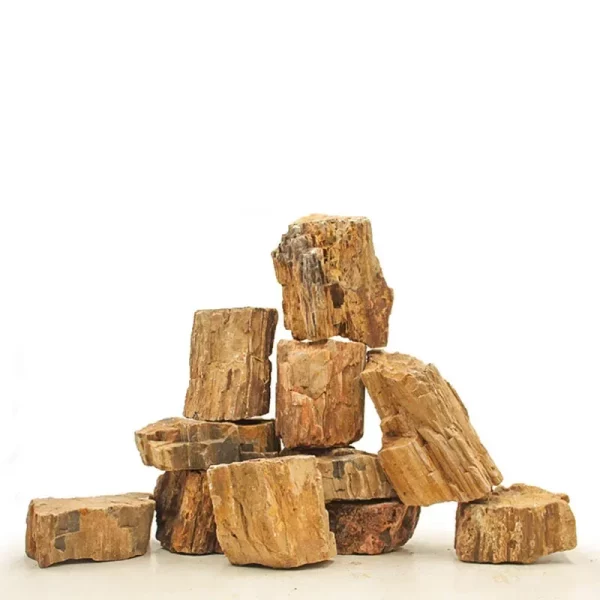 A collection of natural aquarium stones in different shapes and sizes