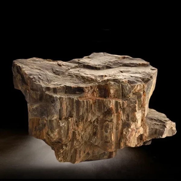 Detailed view of a natural aquarium stone showing its porous surface
