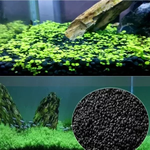 Aquariums Tanks