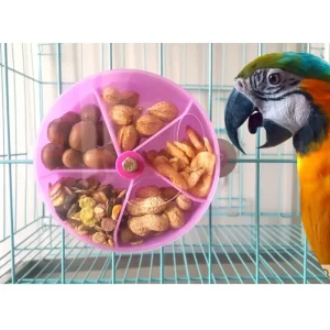 Close-up of parrot foraging toy showing rotating wheel mechanism