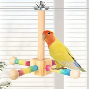 Bird Supplies