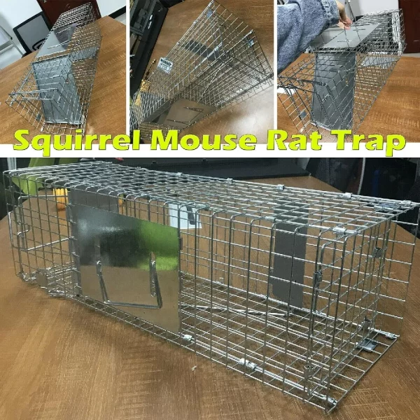 Close-up of the trigger mechanism on a humane animal trap