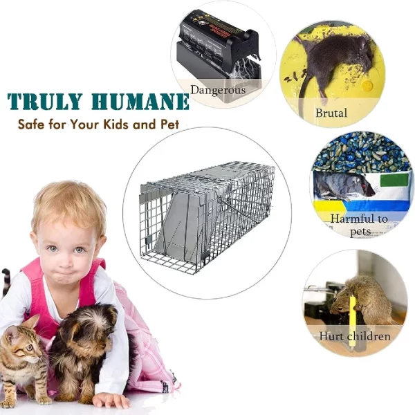 Collapsible humane animal trap, folded for storage