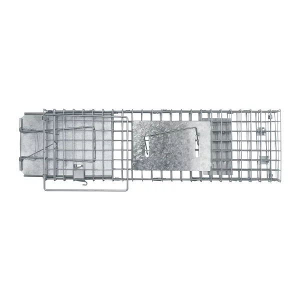 Humane rat trap cage, side profile showing dimensions