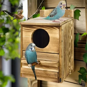 Front view of a handmade wooden screech owl house showing the round entrance hole and perch.