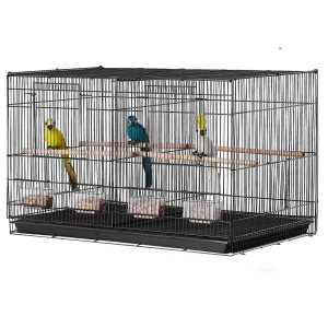 Bird Cages