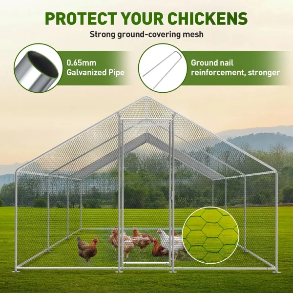 Close-up of the secure door and frame of the walk-in chicken run.