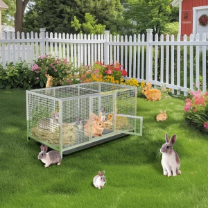 Poultry Fowl