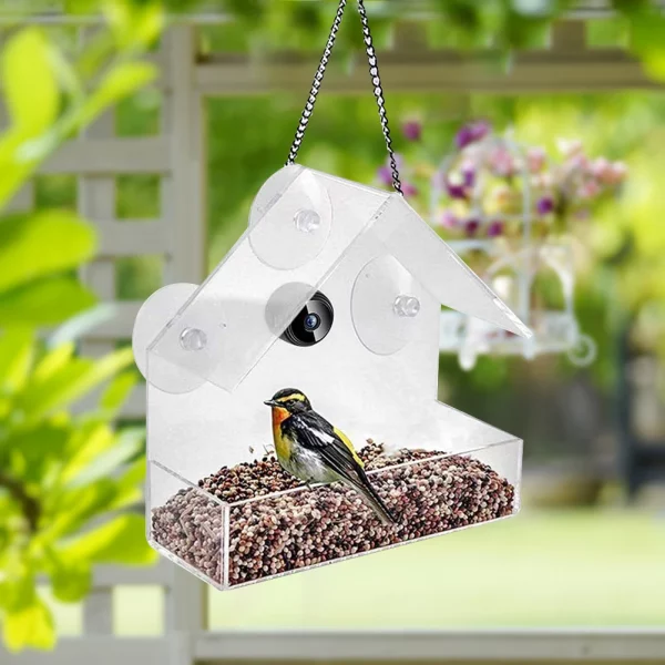 Interior view of the acrylic bird feeder, highlighting the seed compartment.