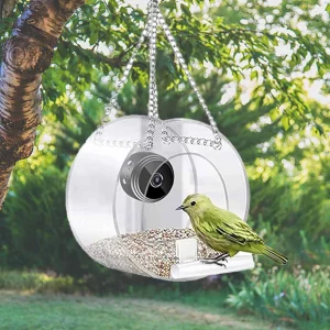 Transparent acrylic smart bird feeder with camera, showing internal capacity.